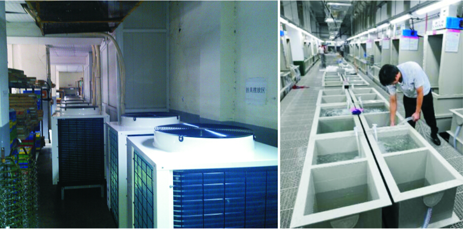 高温电镀热水机