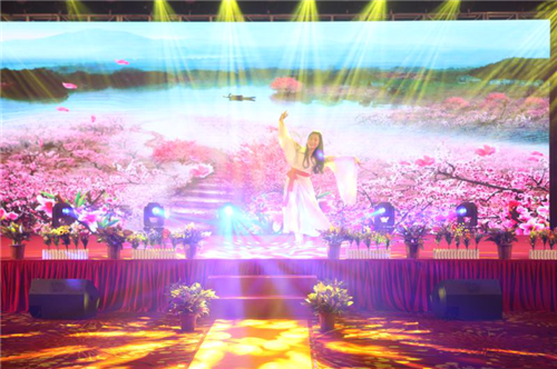 milan米兰股份十五周年庆典